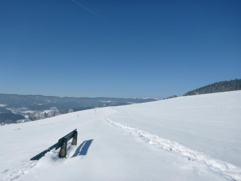 Gaestehaus Hundelbach Lenzkirch Luaran gambar