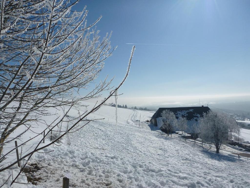 Gaestehaus Hundelbach Lenzkirch Luaran gambar