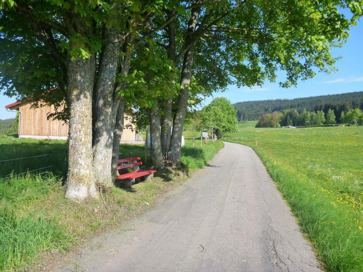 Gaestehaus Hundelbach Lenzkirch Luaran gambar